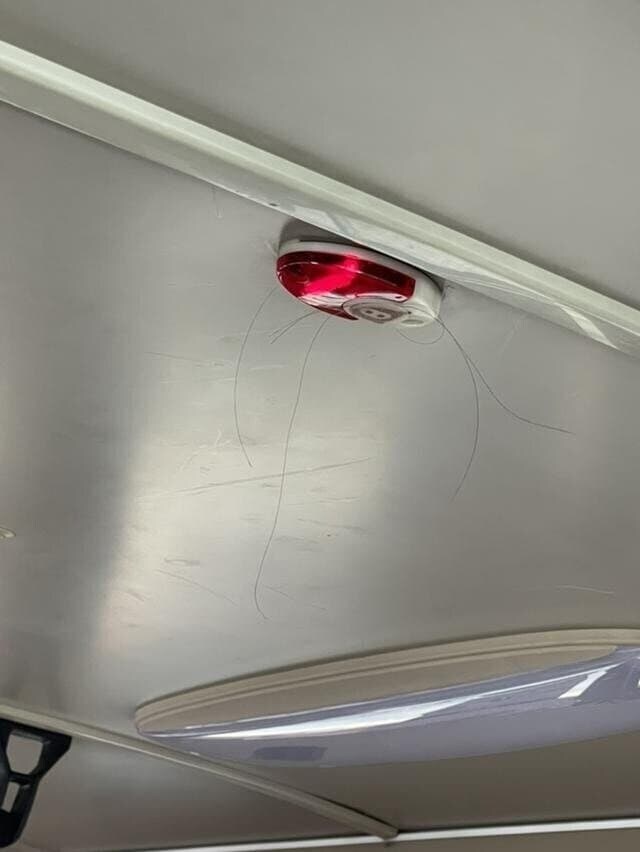 공포) 어딘가에 사람을 잡아먹는 버스가 있다고 한다_1.jpg