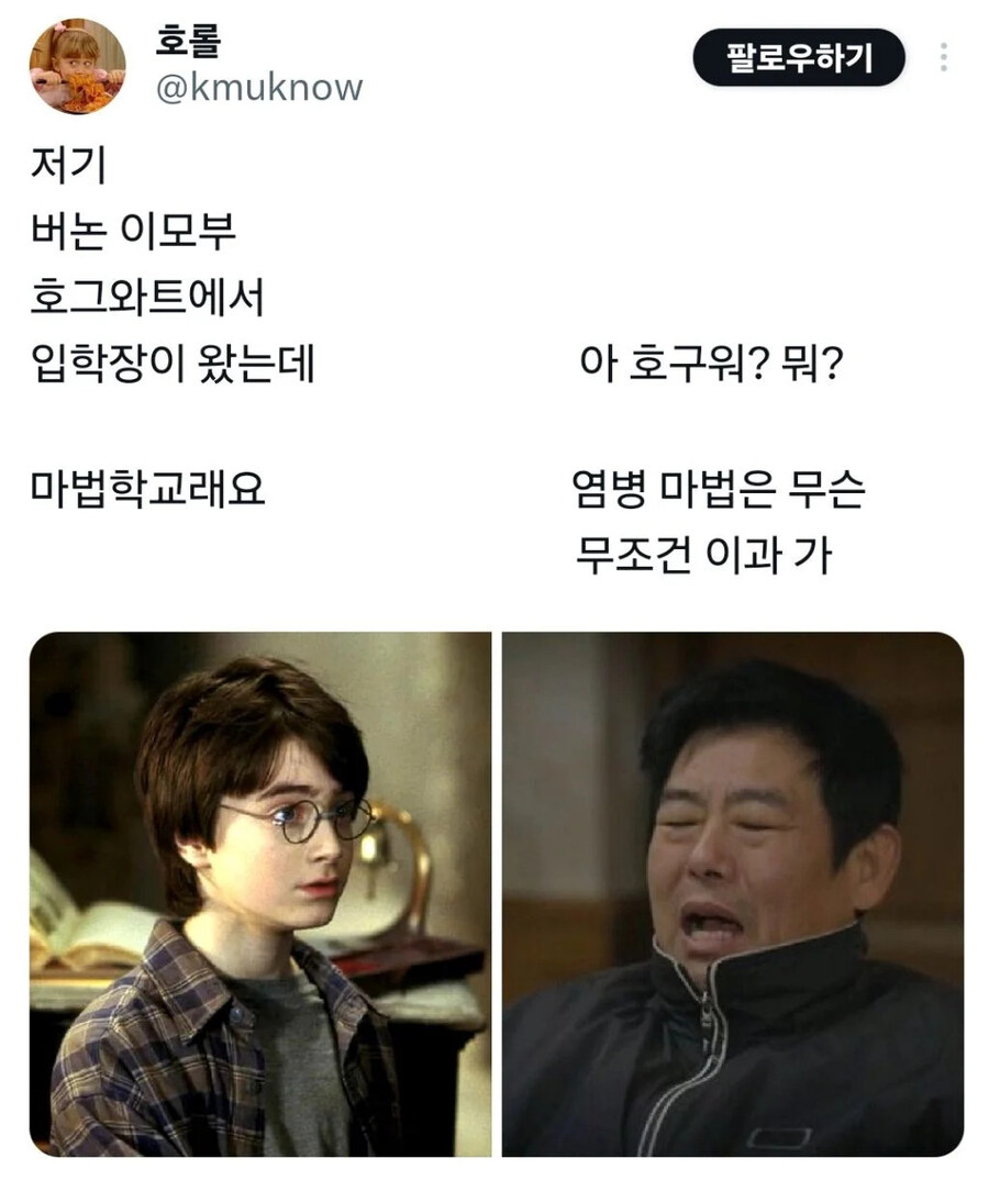 해리포터의 이모부가 성동일이었다면.jpg
