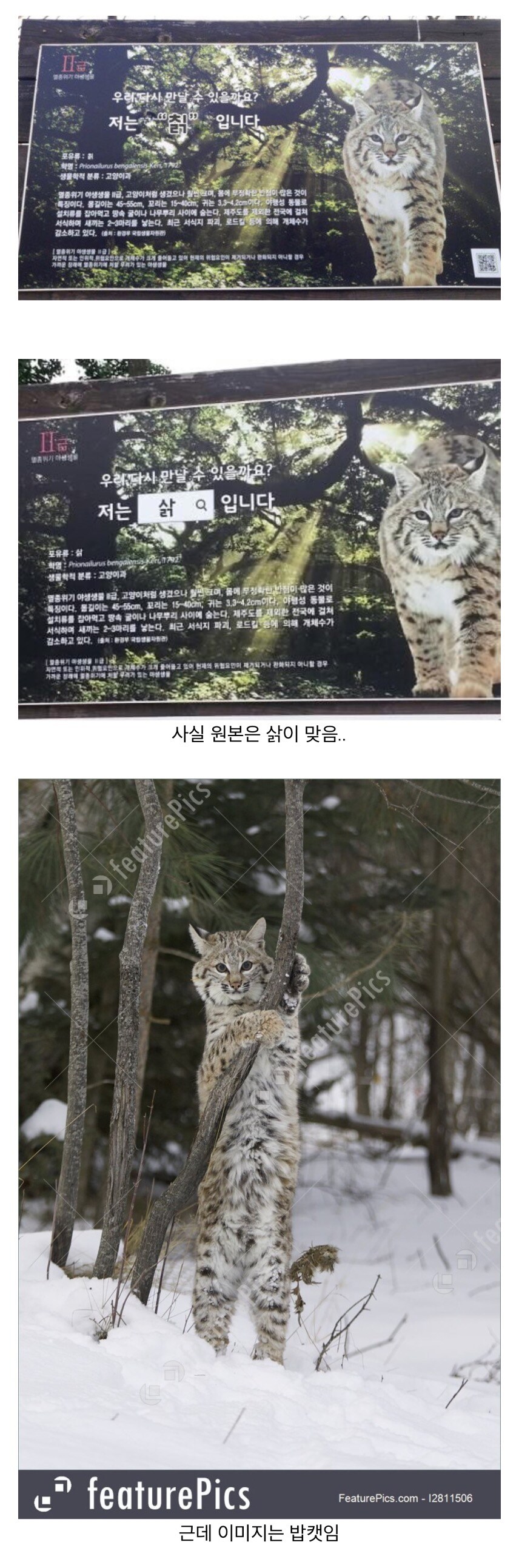 칡의 비밀.secret_1.jpg