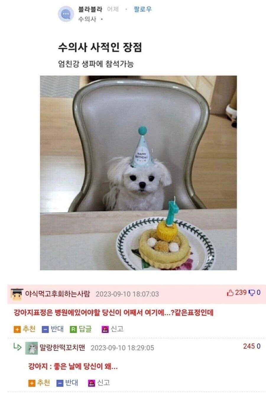 수의사의 사적인 장점_1.jpg