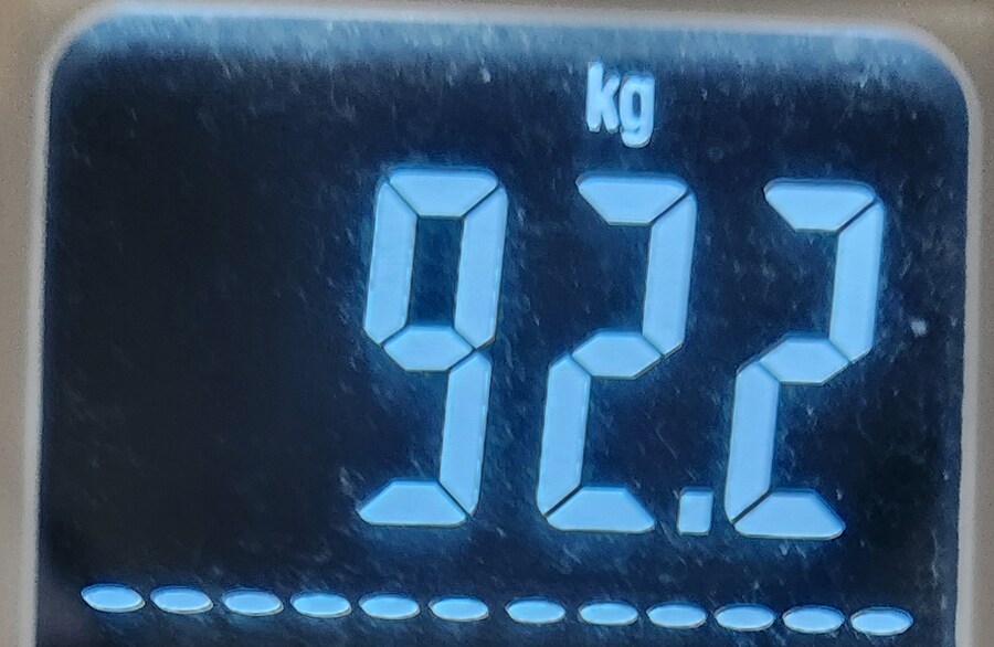 으른양 다이어트 66일차_4.png