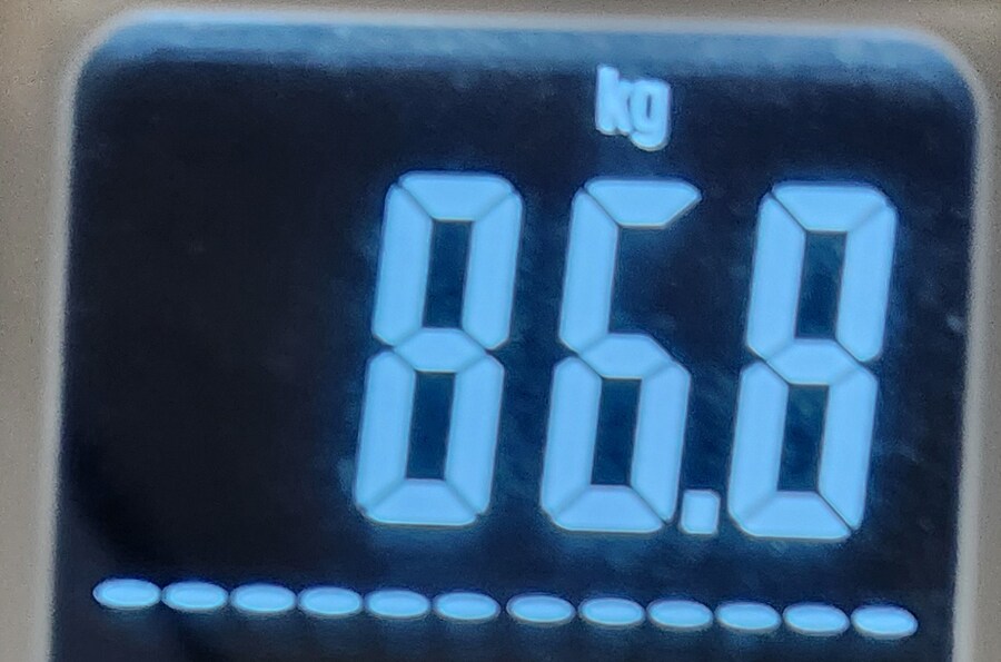 으른양 다이어트 66일차_7.png