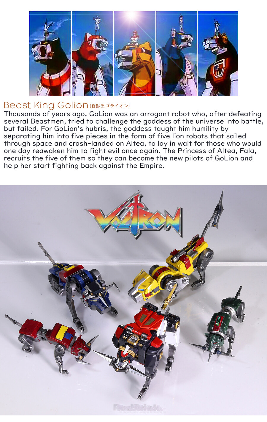 볼트론Voltron 팬들과 함께_초스압주의_12.jpg