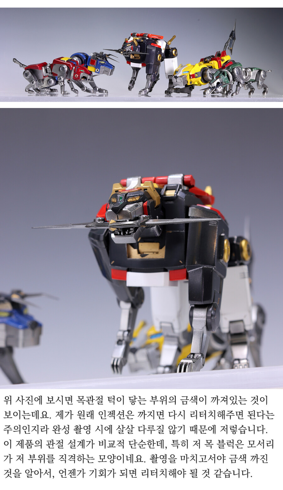 볼트론Voltron 팬들과 함께_초스압주의_86.jpg