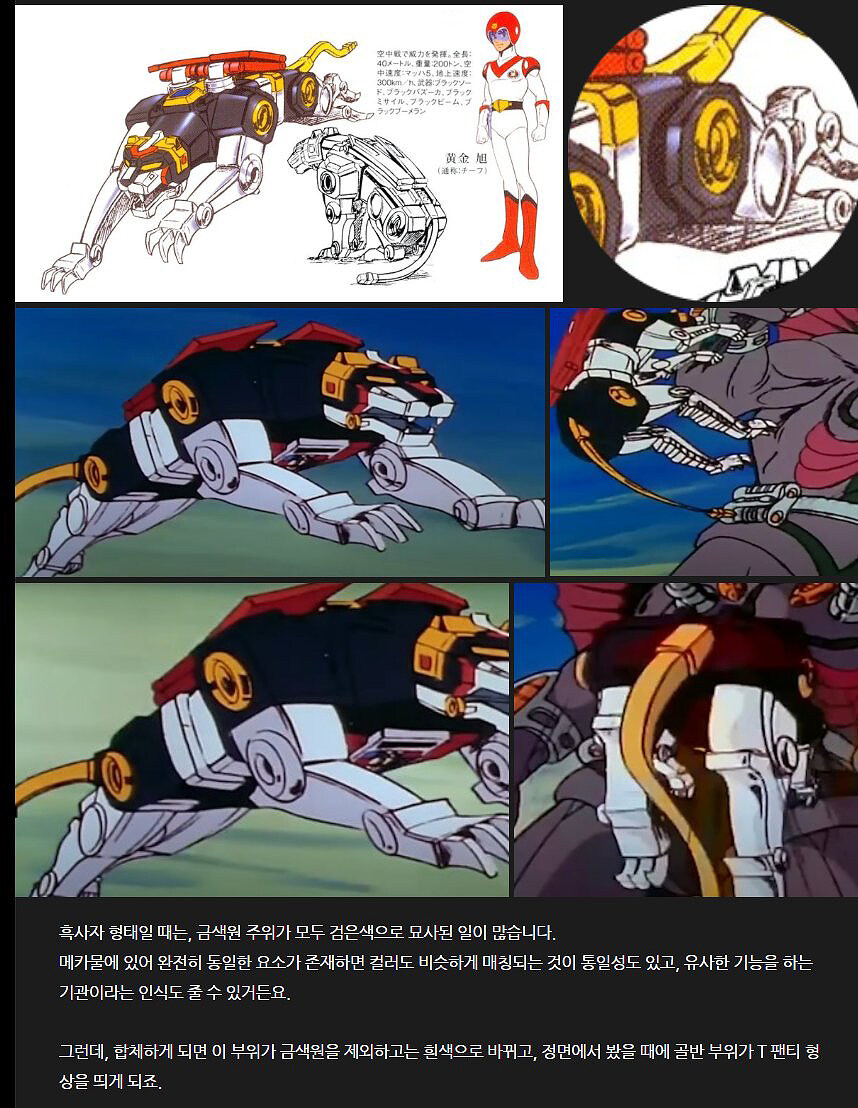 볼트론Voltron 팬들과 함께_초스압주의_28.jpg