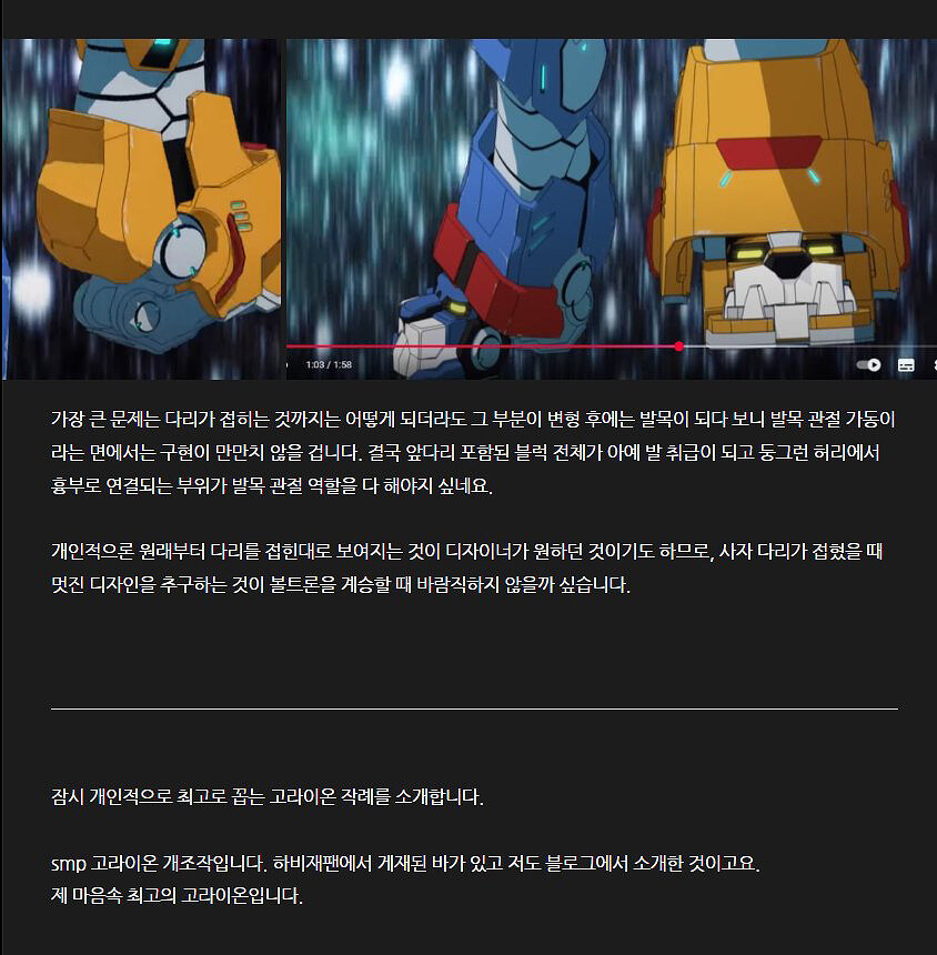 볼트론Voltron 팬들과 함께_초스압주의_44.jpg