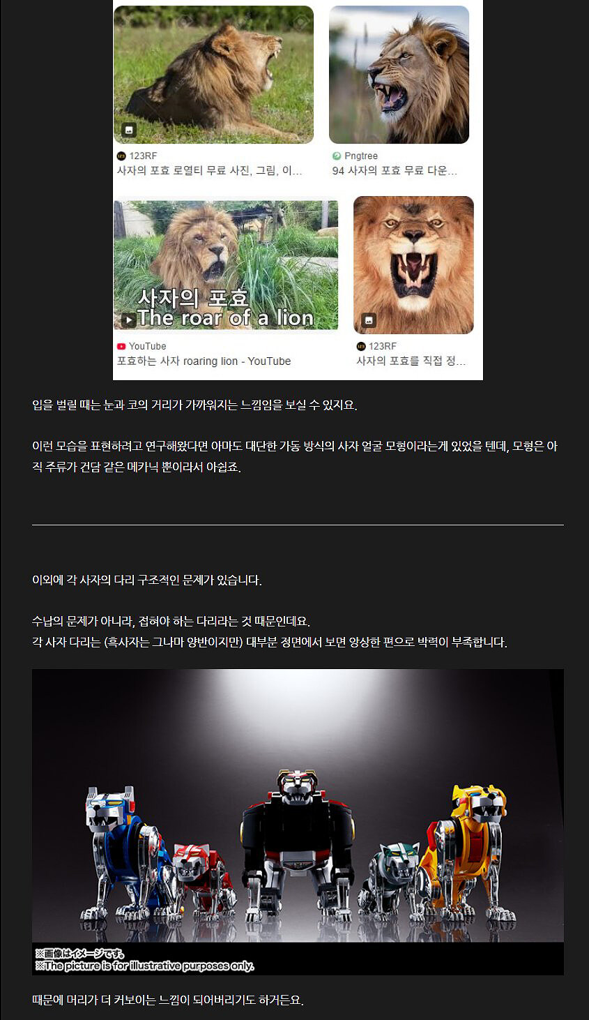 볼트론Voltron 팬들과 함께_초스압주의_52.jpg