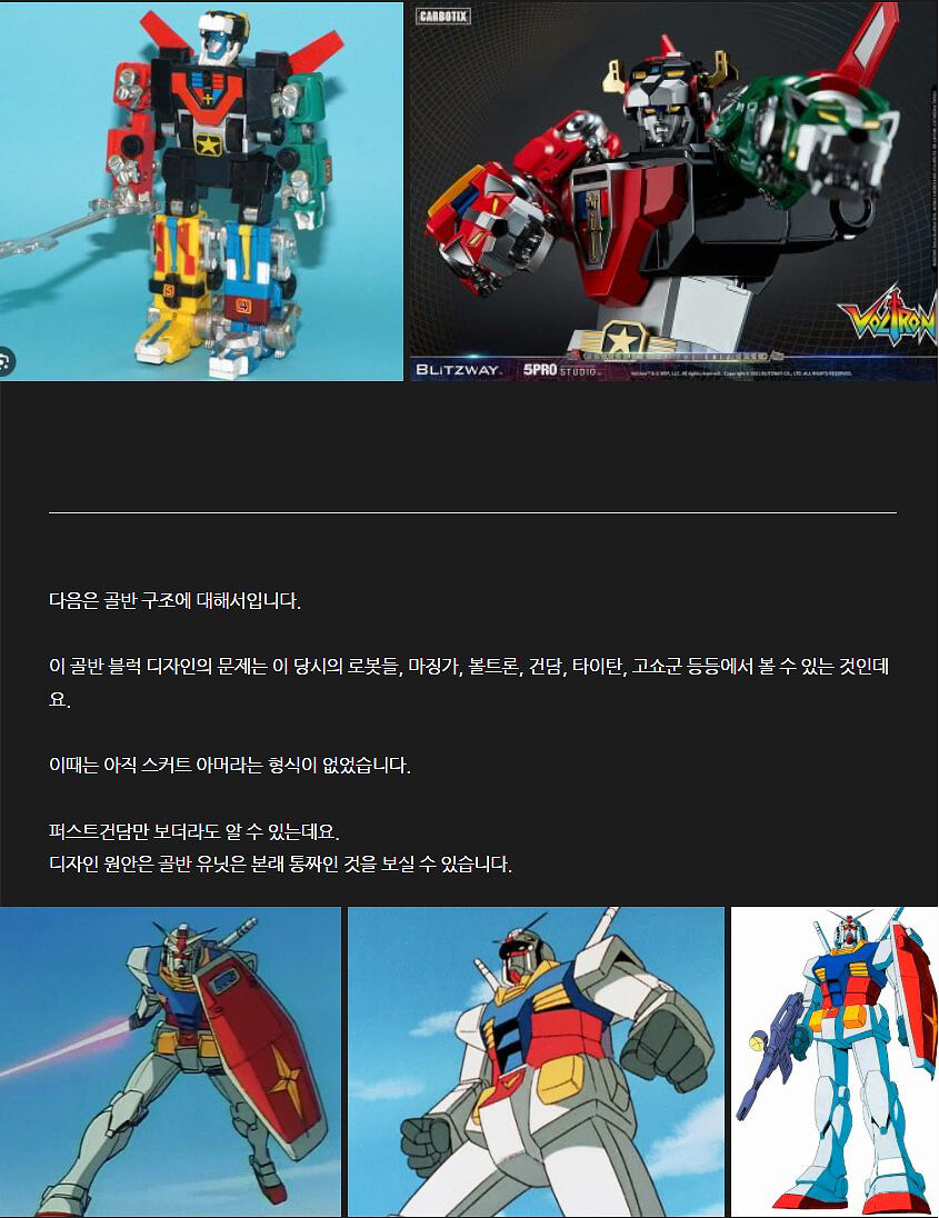 볼트론Voltron 팬들과 함께_초스압주의_56.jpg