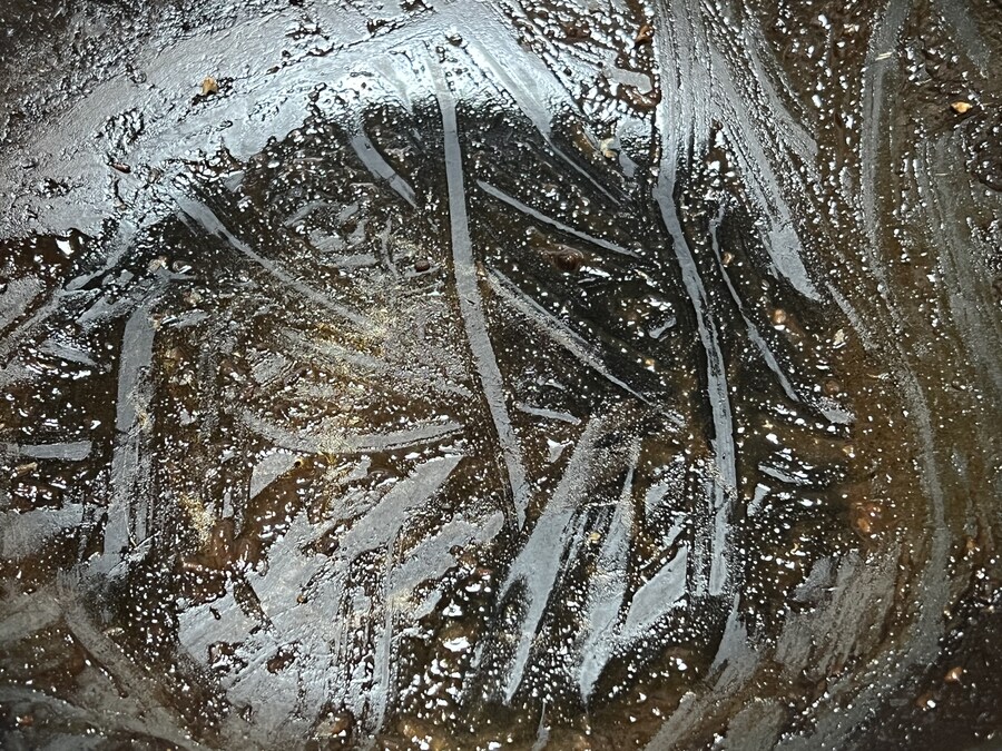 이 춘삼 2300_7.jpg