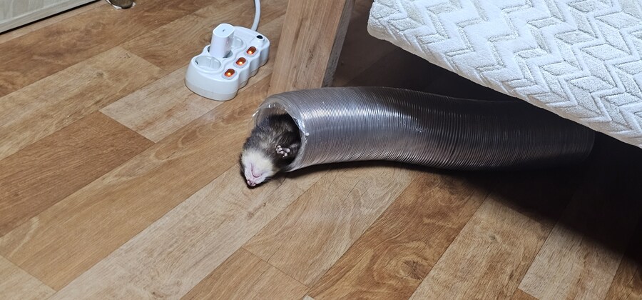 귀여운거보고가_3.jpg