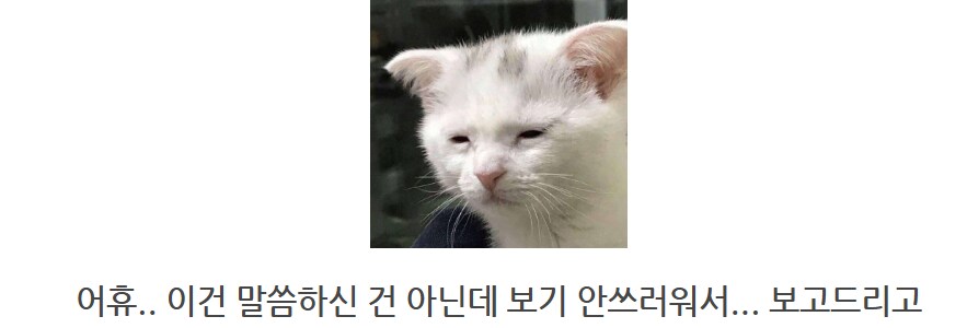 메탈빌드 qc 에바_50.png