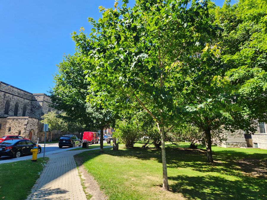 캐나다 오타와 다녀왔습니다 (2/2)_8.jpg