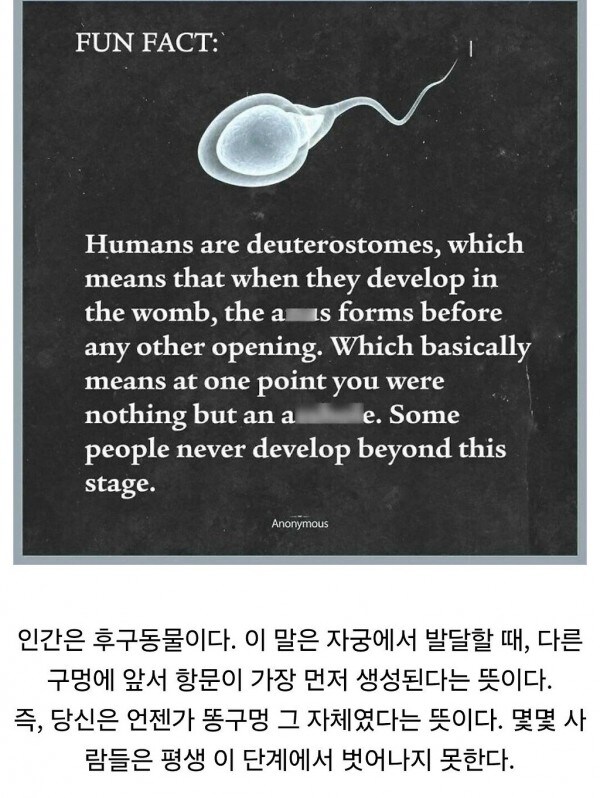 인간에게 가장 먼저 생기는 구멍_1.jpg