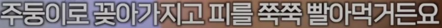혐) ㅇㅇㄱㅇㅅㄷㅇㅍㄹ) ㅇㅍㄹ가 식물의 잎을 뜻하는거로 알고 있는 애들이 많은데_5.jpg