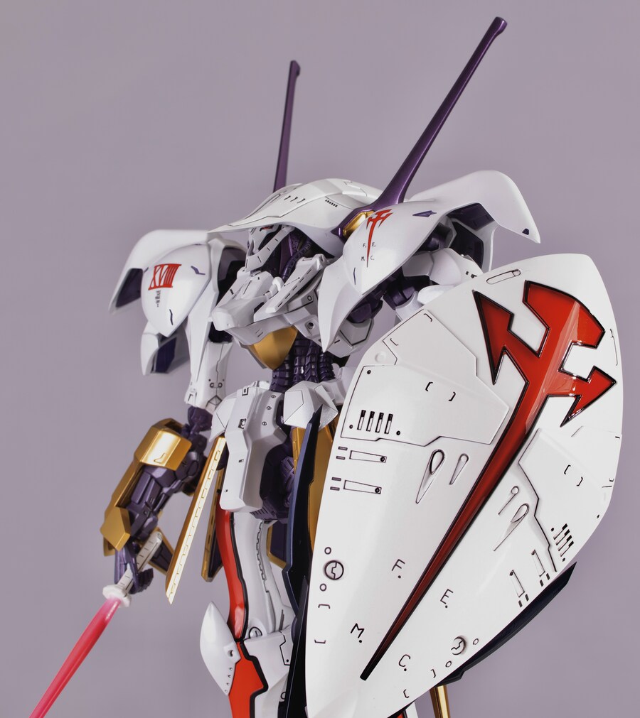 VOLKS IMS 슈펠터 BOTH 2992 with 베일_1.jpg