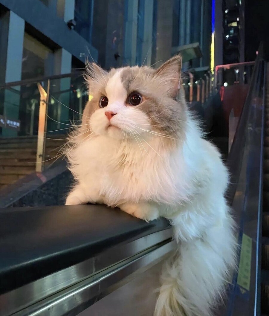 다들 한달에 얼마 씀?_1.jpg