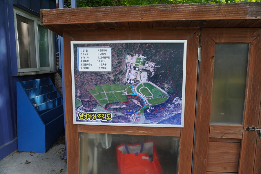 5월,6월 창릉천, 원당목장, 파주삼릉 탐조_20.jpg