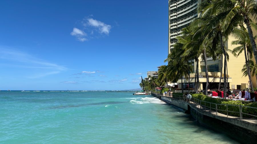 일본 회사 한국지점에서 10년만에 권고사직 당하고 하와이 다녀왔습니다.._4.jpeg