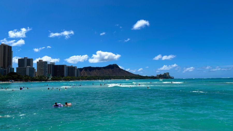 일본 회사 한국지점에서 10년만에 권고사직 당하고 하와이 다녀왔습니다.._6.jpeg