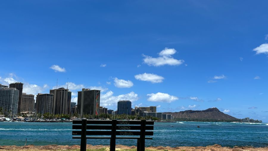 일본 회사 한국지점에서 10년만에 권고사직 당하고 하와이 다녀왔습니다.._9.jpeg