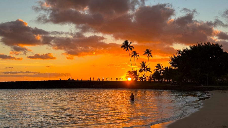 일본 회사 한국지점에서 10년만에 권고사직 당하고 하와이 다녀왔습니다.._14.jpeg