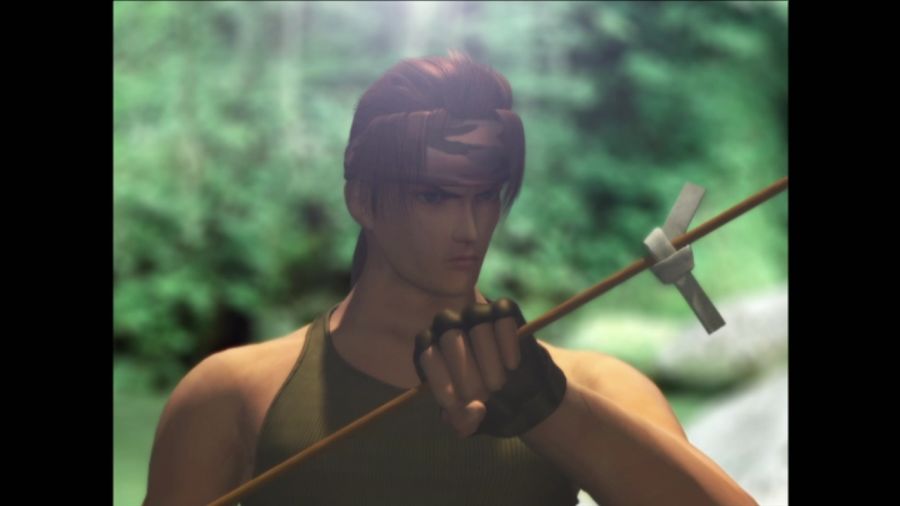 DEAD OR ALIVE 3_51.jpg