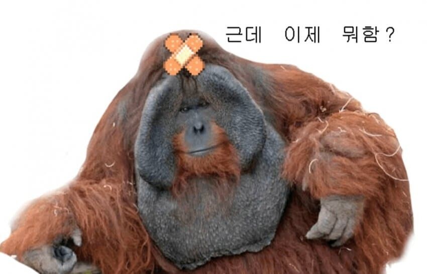 ㅇㅇㄱ)화환시위 벌써 끝남?_1.jpg