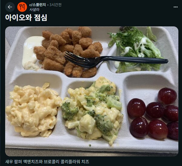 레딧에 올라온 천하제일 우리학교 급식 대회_2.png