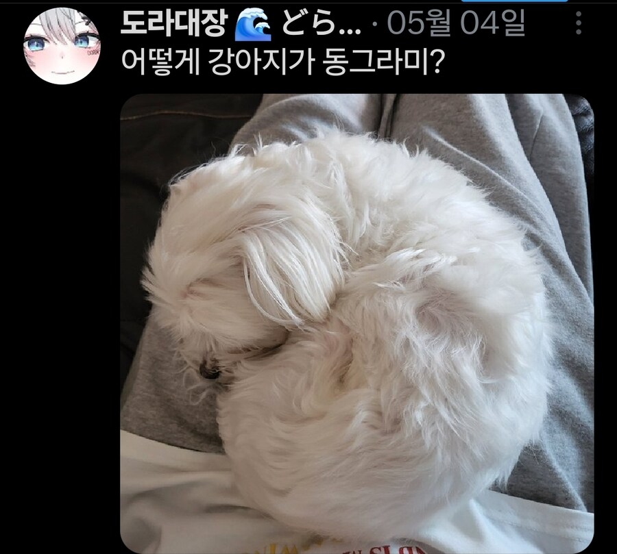 버튜버)무슨무슨법)본인 트위터가 노잼이라는 가오리_9.jpg