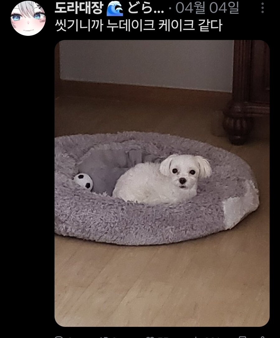 버튜버)무슨무슨법)본인 트위터가 노잼이라는 가오리_12.jpg