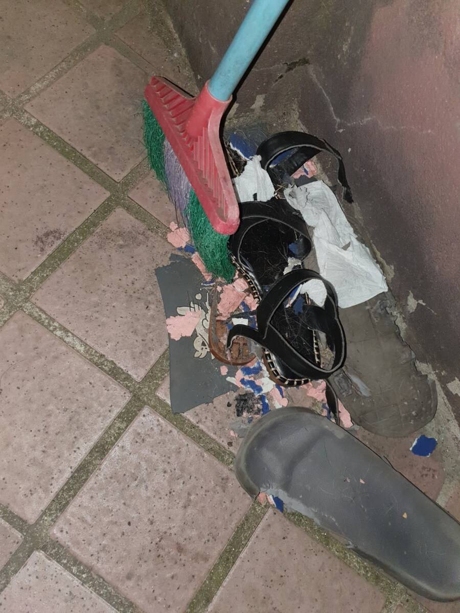 리노아 님의 강아지 상상도_3.jpg