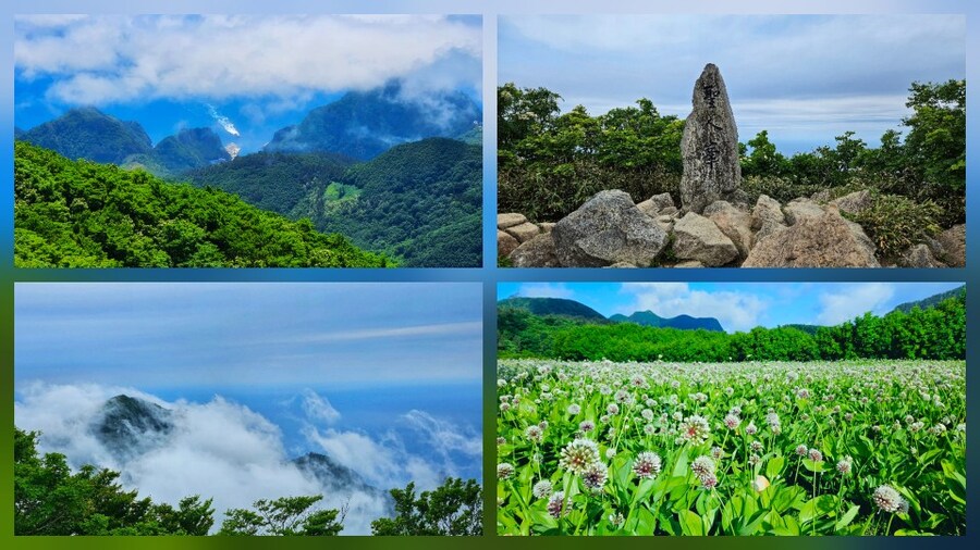 울릉도) 찐 로컬 울릉도 맛집 알랴드림_1.jpg