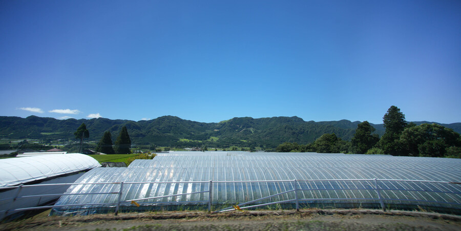 [스압] 구마모토 9박 10일 여행기 (2)_8.jpg