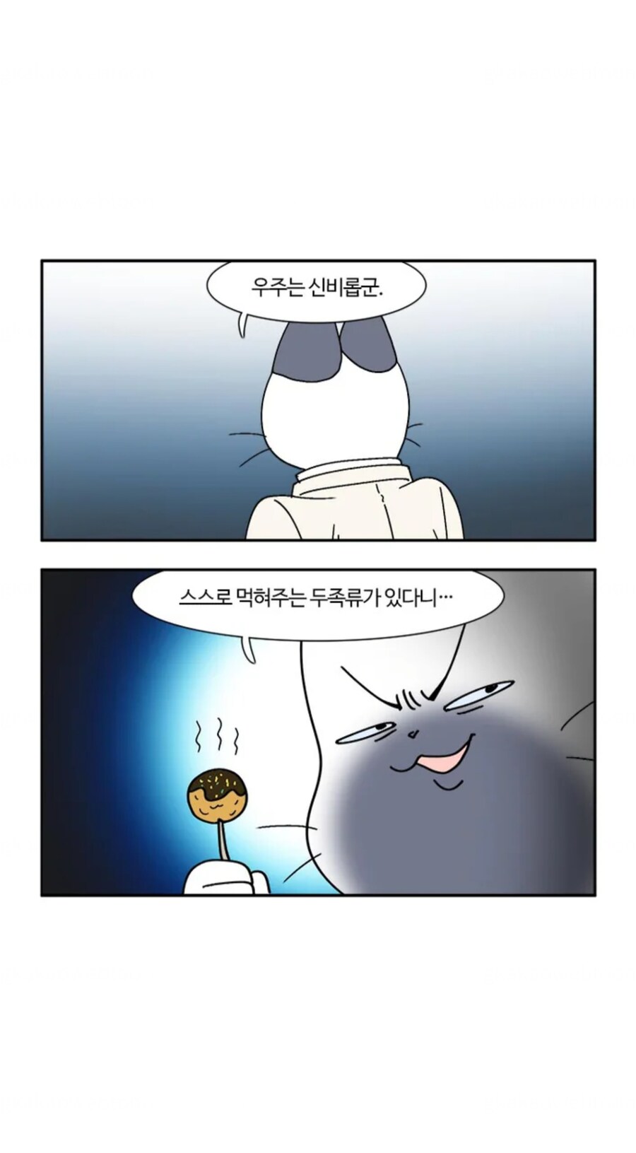 부기영화)우주의 신비_3.jpg