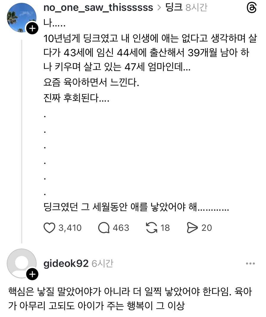 딩크였다가 애 낳은 사람이 후회하는 것.jpg_1.jpg