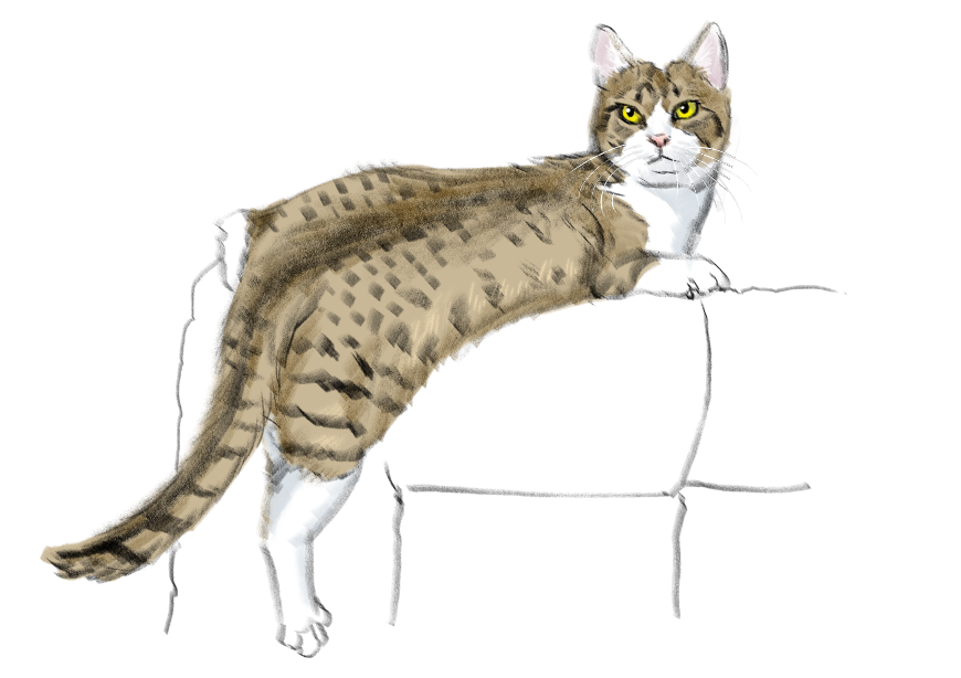 고양이) 넘으집 고양이_1.png