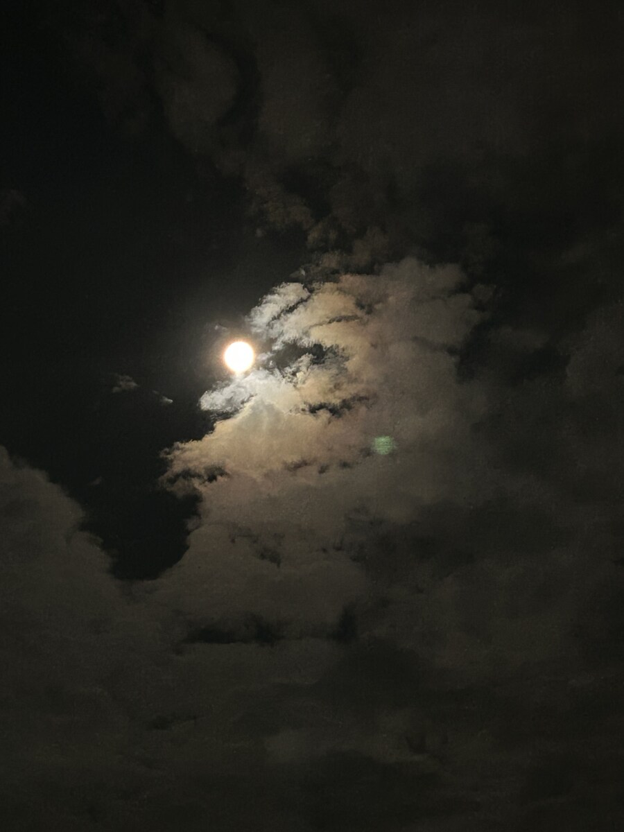 2025.09.08 아이유 베리즈 포스트(새로운 달 사진 🌕)_2.jpg