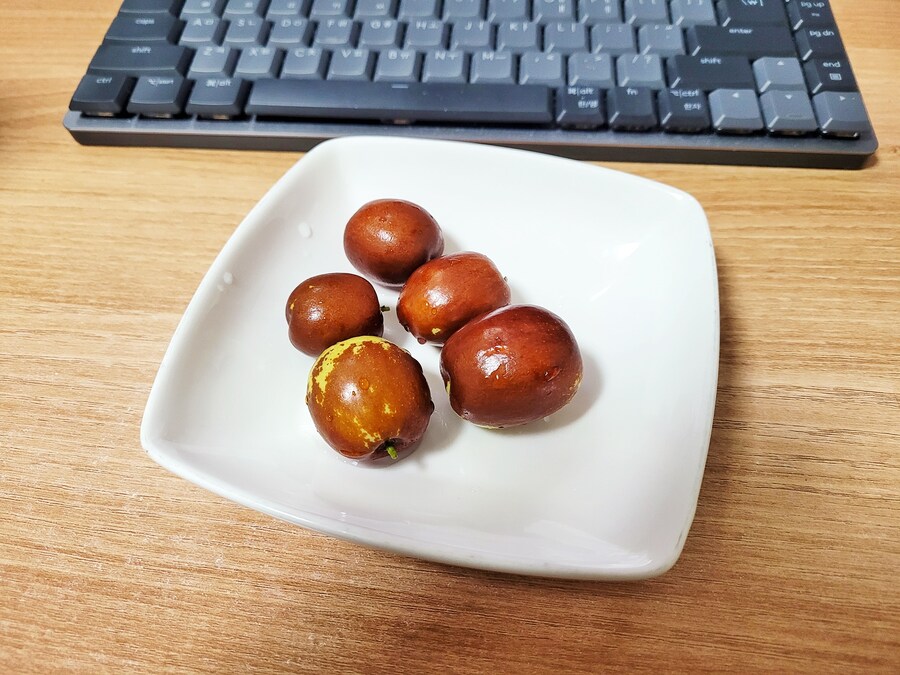마당에서 딴 대추_1.jpg