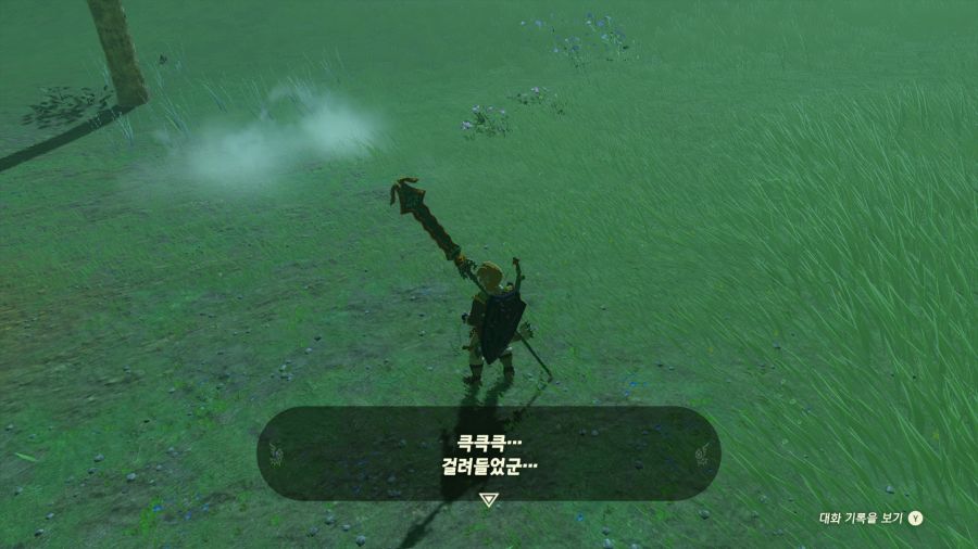 젤다의 전설 티어즈 오브 더 킹덤_3.png