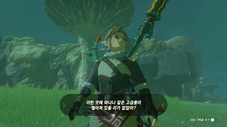 젤다의 전설 티어즈 오브 더 킹덤_4.png