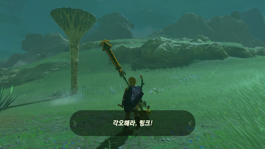 젤다의 전설 티어즈 오브 더 킹덤_5.png