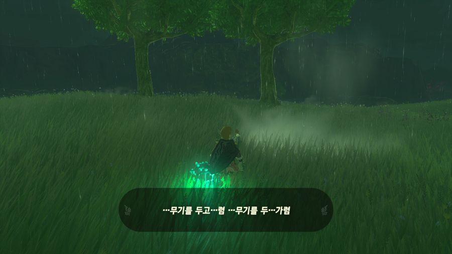 젤다의 전설 티어즈 오브 더 킹덤_29.png