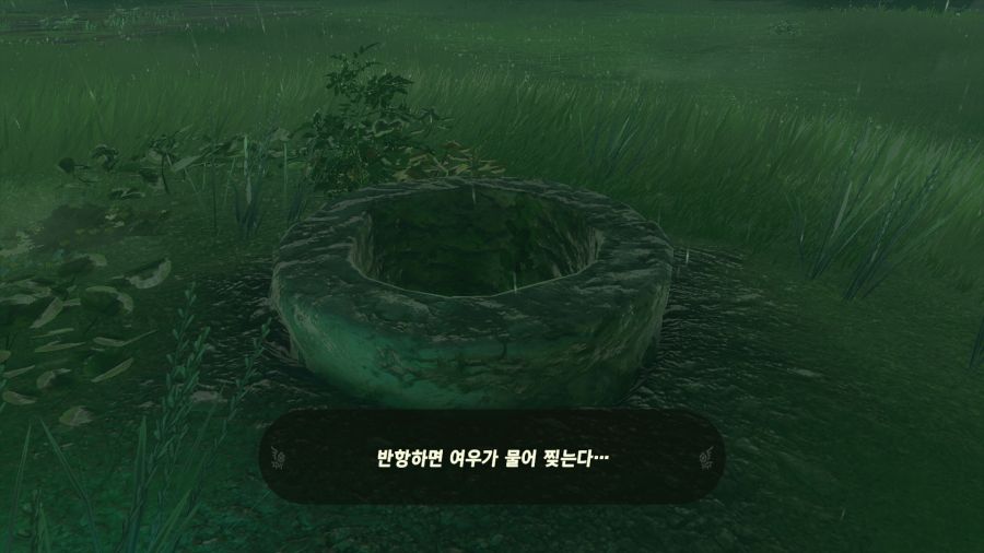 젤다의 전설 티어즈 오브 더 킹덤_31.png