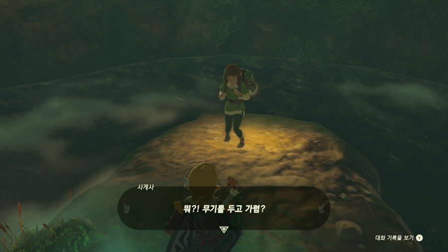 젤다의 전설 티어즈 오브 더 킹덤_35.png