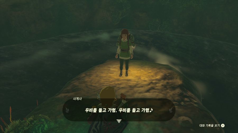 젤다의 전설 티어즈 오브 더 킹덤_37.png