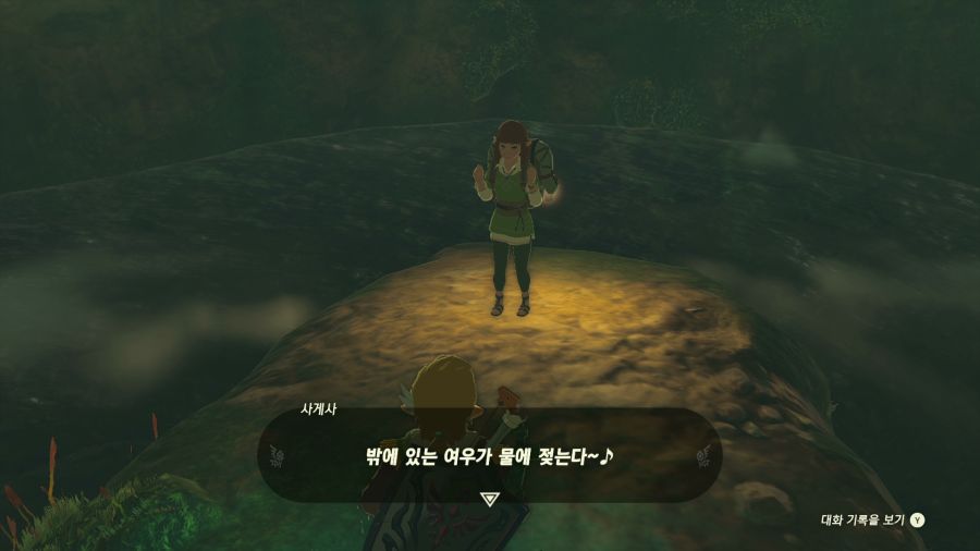 젤다의 전설 티어즈 오브 더 킹덤_41.png