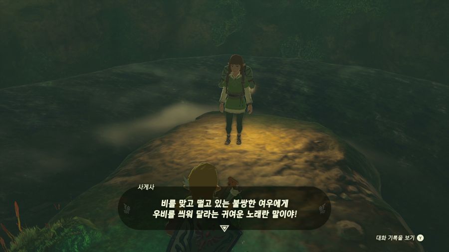 젤다의 전설 티어즈 오브 더 킹덤_44.png