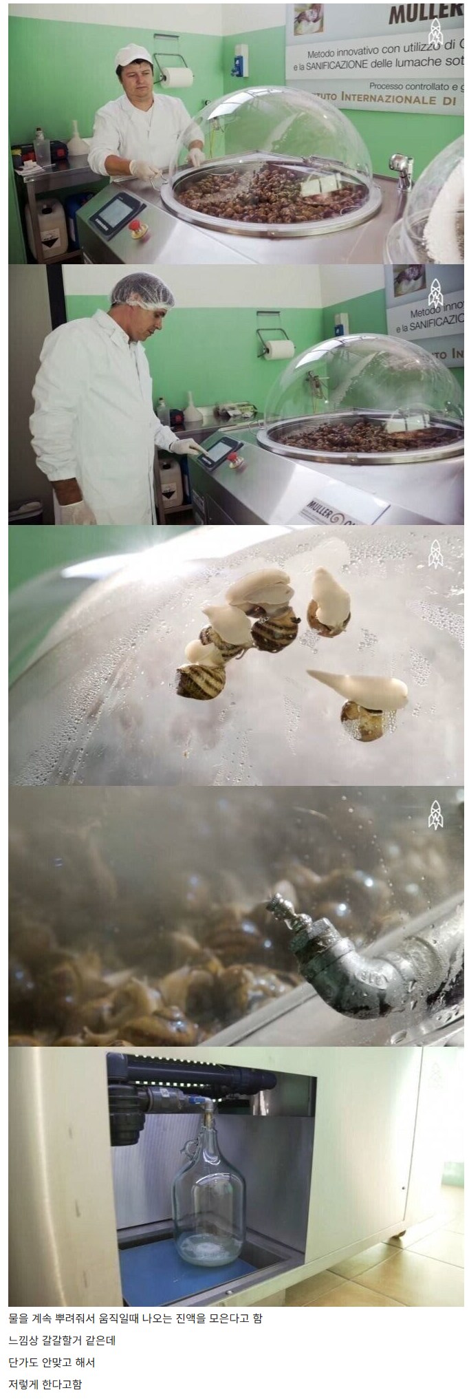 달팽이 크림 만드는 법.jpg_1.png