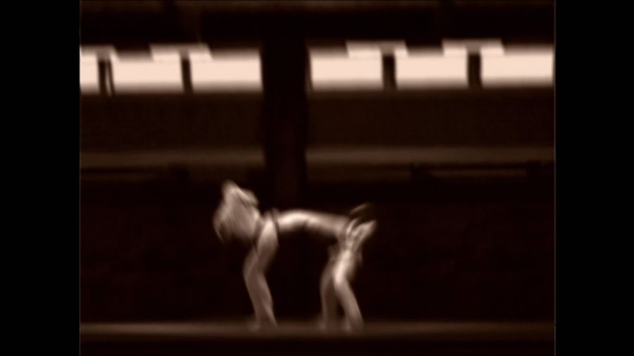 DEAD OR ALIVE 3_42.jpg