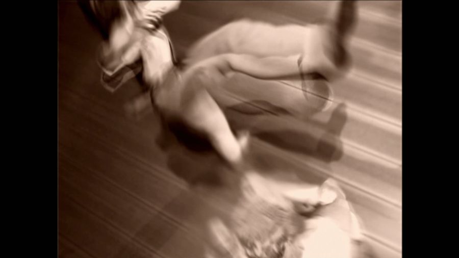 DEAD OR ALIVE 3_47.jpg